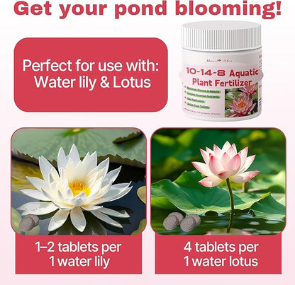 Aquatic Plant Fertilizer for Water Lily and Lotus,Water Lily Fertilizer Tablets-Fish Friendly,LotusFertilizer- Supports Lily and Lotus Blooming & Root Growth,Pond PlantFertilizer-100 Tablets