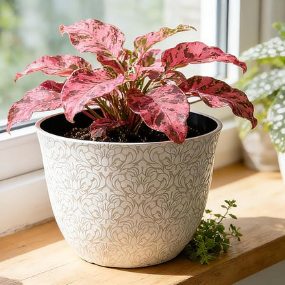 Worth Garden Plastic Round 8" Plant Pots for Indoor Plants - Set of 6 Multicolor Small Flower Pots W/Drainage Hole and Rubber Plug - Home Christmas Decorative planters Retro Floral Pattern