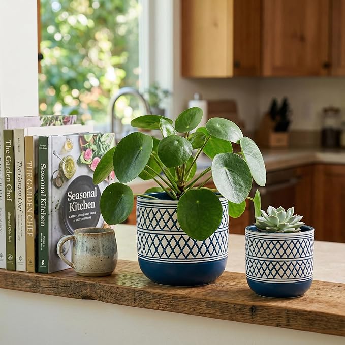 Decorative Ceramic Flower Pots Set of 2 – 6 & 4.7 Inch Indoor Plant Pots, Boho Decorative Pots for Plants, Orchid & Succulent Planters with Drainage