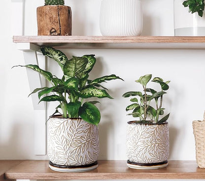 D'vine Dev Embossed Leaves Design 4 Inch & 6 Inch Stoneware Planter Pot with Drainage Hole and Saucer, Smoked White, 27-B-U-1