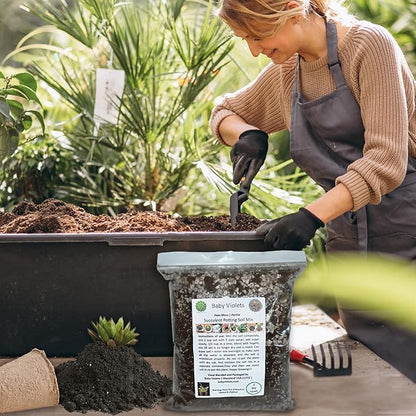 Succulent (½ Gallon / 2 quarts) Plant Potting Soil Mix Peat Moss & Perlite