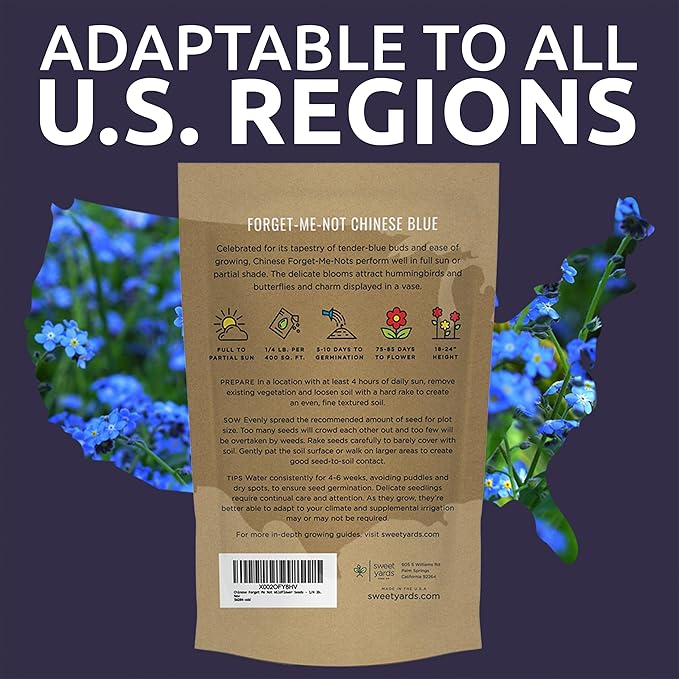 Chinese Forget Me Not Wildflower Seeds - Bulk 1/4 Pound Bag - Over 22,000 Open Pollinated Seeds - Blue Cynoglossum amabile