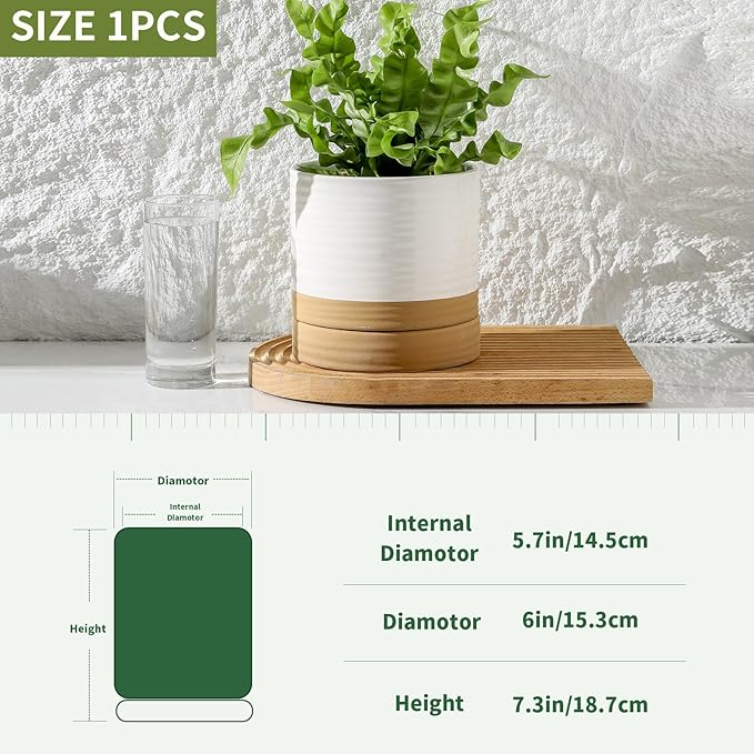 HASENSE Ceramic Plant Pots, 6 Inch Planters for Indoor Plants with Drainage Holes and Saucers, White Flower Pots for Succulent, Snake Plants, Cactus, Modern Decor Gift for Mom, 1 Pcs
