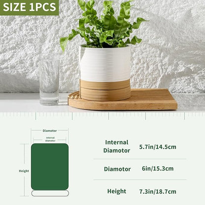 HASENSE Ceramic Plant Pots, 6 Inch Planters for Indoor Plants with Drainage Holes and Saucers, White Flower Pots for Succulent, Snake Plants, Cactus, Modern Decor Gift for Mom, 1 Pcs