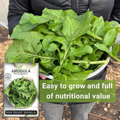 Sow Right Seeds - Arugula Seeds for Planting - Non-GMO Heirloom Seeds with Instructions to Plant a Home Vegetable Garden - Indoors, Hydroponics or Outdoors - Salad Greens - Grow Kitchen Herbs (1)