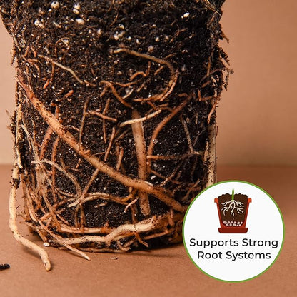 Perfect Plants Organic Snake Plant Soil in 4qt. Bag | Coco Coir Based Potting Mix Snake Plant Varieties