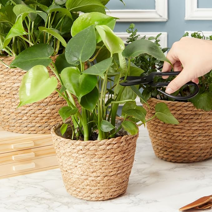 Juvale Seagrass Planter Set with Plastic Lining, 3 Woven Baskets for Plants (3 Sizes)