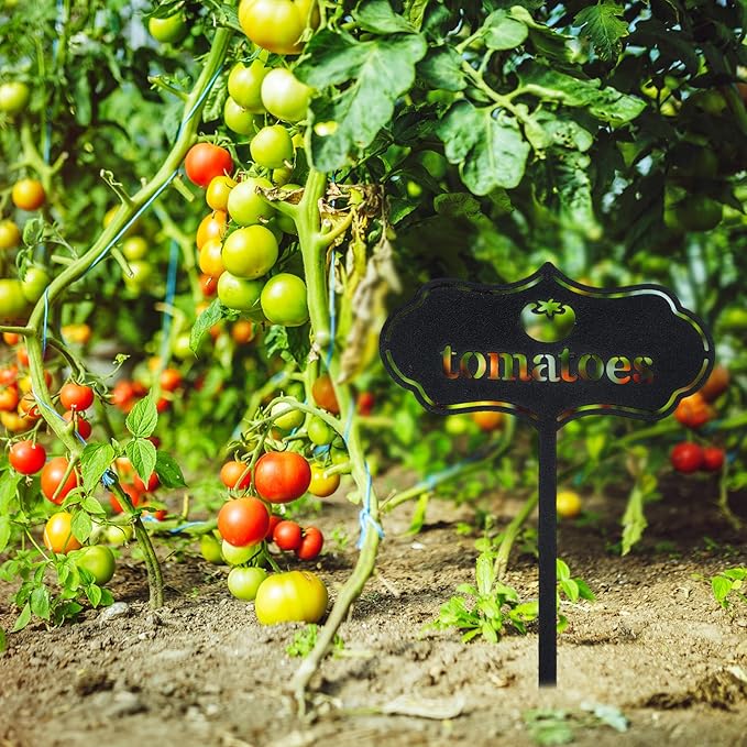 6 Pack Metal Seed and Plant Markers Garden Signs for Vegetables 8 Inch Waterproof Reusable Garden Label Stakes Tags with Names for Vegetable Indoor Outdoor Farmhouse Greenhouse