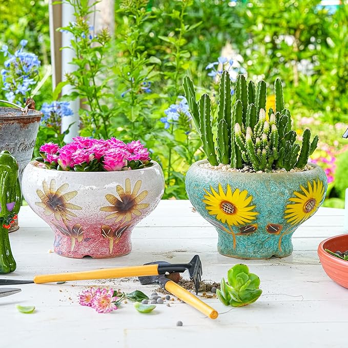Sungmor Small Succulent Planters Set of 2, Beautiful Hand Crafted Ceramic Plant Pots Cute Cactus Pot, 6.5 Inch Flower Pots for Indoor Plants with Drainage, Desktop Windowsill Home Office Decor Pots