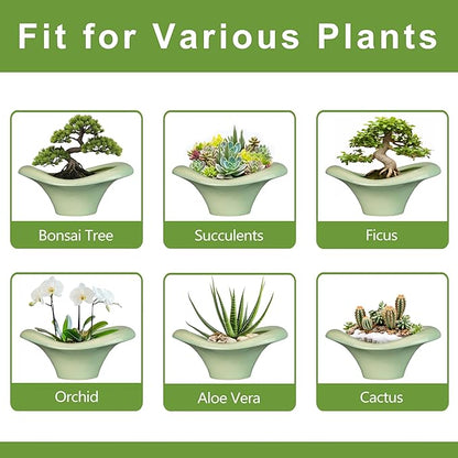 Ceramic Bonsai Pots - Large Succulent Planter 13 Inch Plant Pot Indoor Succulent Pot with Drainage Hole Outdoor Planter Bonsai Tree Pot for House Home Garden Office Decor Green