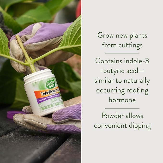 Garden Safe Brand TakeRoot Rooting Hormone, 12 Count, Powder Helps Grow New Plants from Cuttings Including Most Home, Garden and Greenhouse Varieties, 12 Pack