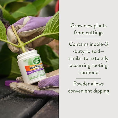 Garden Safe Brand TakeRoot Rooting Hormone, 12 Count, Powder Helps Grow New Plants from Cuttings Including Most Home, Garden and Greenhouse Varieties, 12 Pack