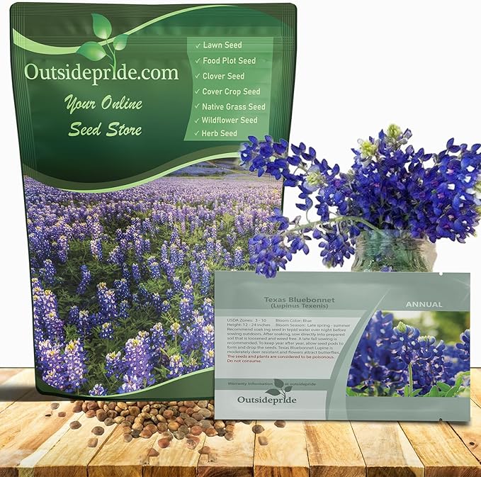 Outsidepride Texas Bluebonnet Seeds - 1/4 lb. Annual Lupinus Texensis, Heirloom Quality, Drought-Tolerant Wildflower Seeds w/Blue Blooms for Vibrant Spring Displays, Landscape, & Attracts Pollinators
