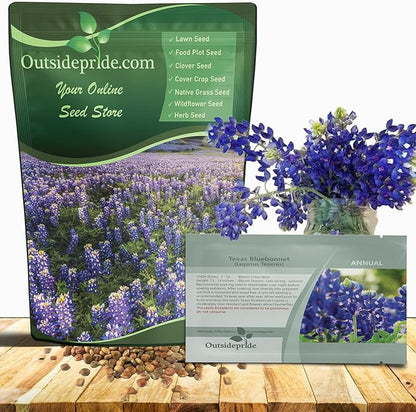 Outsidepride Texas Bluebonnet Seeds - 1/4 lb. Annual Lupinus Texensis, Heirloom Quality, Drought-Tolerant Wildflower Seeds w/Blue Blooms for Vibrant Spring Displays, Landscape, & Attracts Pollinators