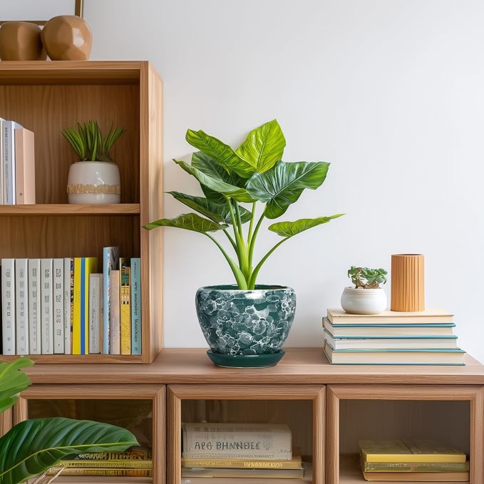 6 Inch Planter - Ceramic Plant Pots Indoor with Drainage Hole and Saucer, Indoor Plant Pots for Flowers Plants, Round Modern Small Planter, Bedroom Decor, Plants Lover Gift, Bubble Green