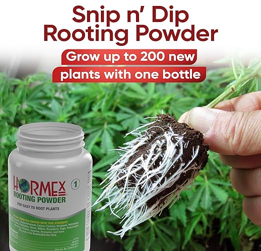 Hormex Rooting Powder #1 (0.10% IBA) for Delicate Houseplants, Succulents & Herbs - Gentle Root Powder, Root Stimulator for Plants, Rooting Hormone for Cuttings, Cloning, & Softwood Propagation