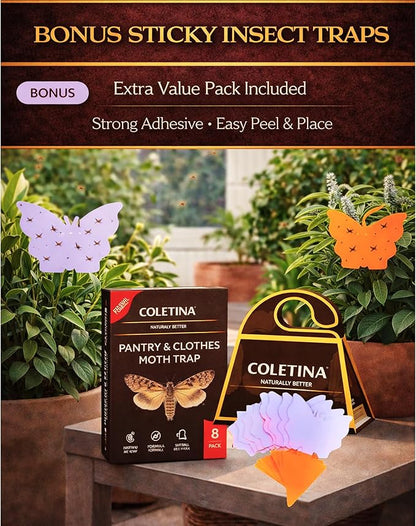 Coletina Moth Trap for Clothes Pantry Moth Traps with pheromones Pack of 8 Odorless Adhesive Boards for Closet Wardrobe Pantry Food Storage Indoor Home Control Plus 8 Insect Traps 24/7 Protection