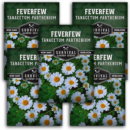 Feverfew Seeds for Planting - Perennial Daisy-Like Flower Herb, Pollinator Friendly Garden, Easy to Grow Traditional Herb - Heirloom Non-GMO Open Pollinated - Survival Garden Seeds (5 Pack)