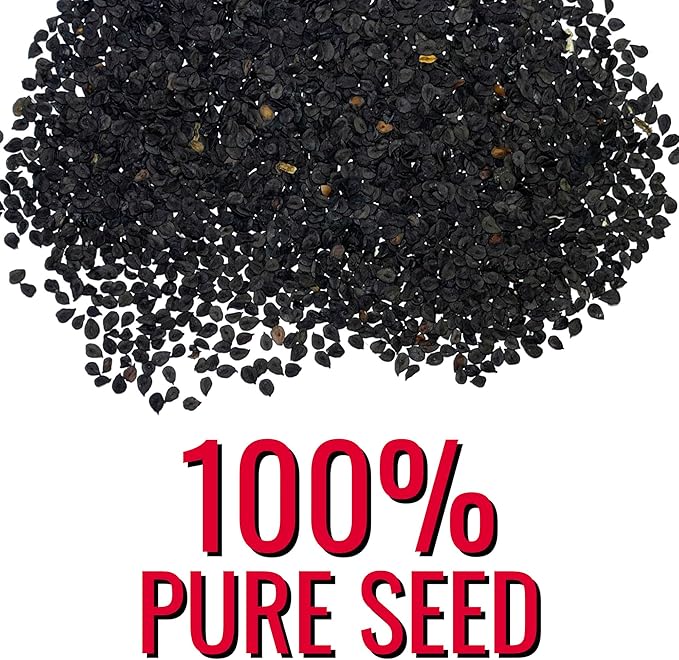 Seed Needs Sweet William Seeds for Planting Dianthus Flowers - Heirloom & Open Pollinated Annual Wildflower Seed Mix to Attract Butterflies, Bees & Other Pollinators to a Butterfly Garden (XL Pack)