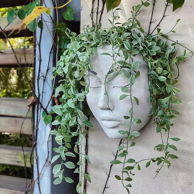 Coolboy Face Planter for Indoor & Outdoor Wall Decoration, Unique Face Flower Pot