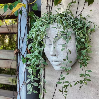Coolboy Face Planter for Indoor & Outdoor Wall Decoration, Unique Face Flower Pot