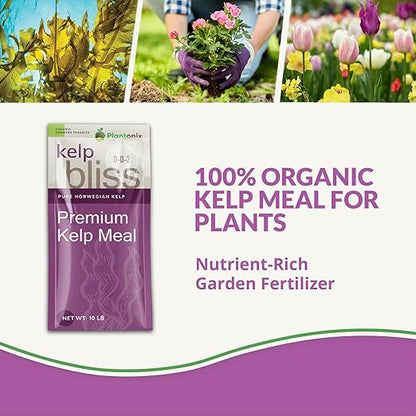Kelp Bliss (40lbs) - Kelp Meal Organic Fertilizer for Plants, Garden Soil, Flowers, Vegetables, & Lawns - Organic Plant Food Rich in Vitamins & Nutrients - 100% Natural Renewable Soil Amendment
