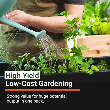Open Seed Vault |15,000 Heirloom Seeds | 32 Seed Types | Survival Seeds | 2026 Season | Non GMO Vegetable and Fruit Seeds | Planting Outdoor & Indoor Garden