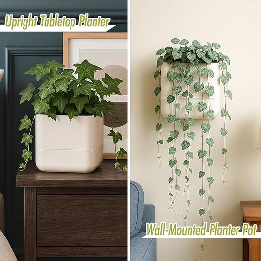 Phoenix Vine 6.5-Inch Wall Mounted Self-Watering Planter Pot for Indoor Houseplants and Herbs | Hanging Planter for Window Sills, Bathroom Walls, Home & Office Décor, Oatmeal, Set of 1, 01-WP-D-1