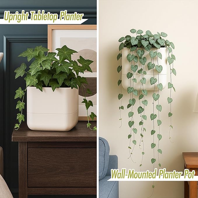 Phoenix Vine 6.5-Inch Wall Mounted Self-Watering Planter Pot for Indoor Houseplants and Herbs | Hanging Planter for Window Sills, Bathroom Walls, Home & Office Décor, Oatmeal, Set of 2, 01-WP-D-2