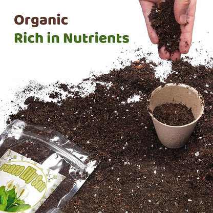 Organic Peace Lily Soil Mix 4qt, Indoor Plants Potting Mix for Planting, Growing, or Repotting Peace Lily Plants, Grow Healthy houseplants Indoors