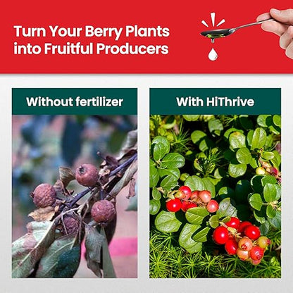 32oz Berry Fertilizer - Makes 32 Gallons of Fruit Tree Fertilizer for Elderberry, BlackBerry & More, Nutrient-Rich Liquid Plant Food for Strong Roots, Healthy Growth, and Flavorful Fruits