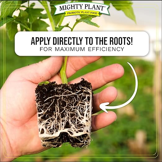 Organic Root Enhancer Ultra-Concentrated Mycorrhizal Fungi MycoRoots – 500 Spores/Gram for Optimal Plant Growth & Health | Boost Soil Nutrient Absorption (5, Ounces)
