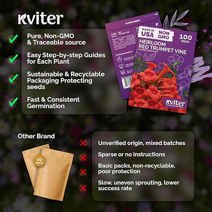 KVITER 100 Red Trumpet Vine Seeds for Planting (Campsis Radicans) – Trumpet Creeper, Organic & Heirloom Hummingbird Vine – Perennial Flower Seeds to Plant Outside – Fences, Trellises & Outdoor Garden
