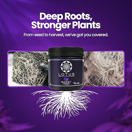 Boost Pro Series Bloom Booster and Yield Enhancer, Boost Any Plant Feeding Recipe for Turbo-Charged Flower Density/Oil Production, Amino Nitrogen Formula for Soil, Hydroponics and Coco Coir - 18 oz