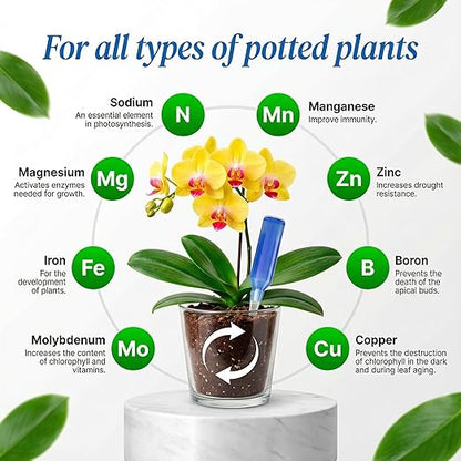 All-Purpose Liquid Plant Food Fertilizer (6-Pack) | Concentrated Nutrient Solution for Indoor & Outdoor Plants | Bloom Booster Nutrient Solution for Vibrant Growth & Strong Roots | Made in The USA