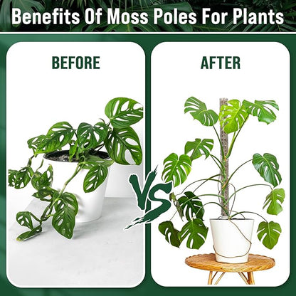 20 Pcs 15 Inch Plastic Moss Pole for Plants Monstera Moss Totem Pole Stick Plastic Monstera Plant Support 10 Pcs Plant Labels 4 Pcs 6.56 Ft Green Plant Ties Gardening Tape for Climbing Plants Creepers