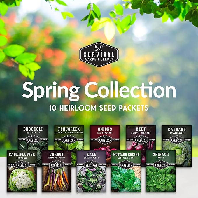 10 Spring Vegetable Seed Collection for Planting | Cool Season Root Vegetables & Leafy Greens, Suitable for Fall & Winter Gardens – Heirloom Non-GMO Variety Pack | Survival Garden Seeds
