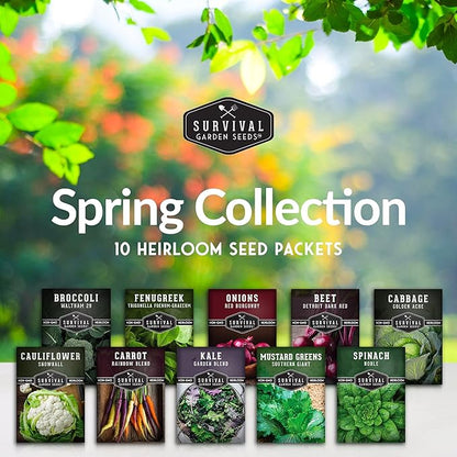 10 Spring Vegetable Seed Collection for Planting | Cool Season Root Vegetables & Leafy Greens, Suitable for Fall & Winter Gardens – Heirloom Non-GMO Variety Pack | Survival Garden Seeds