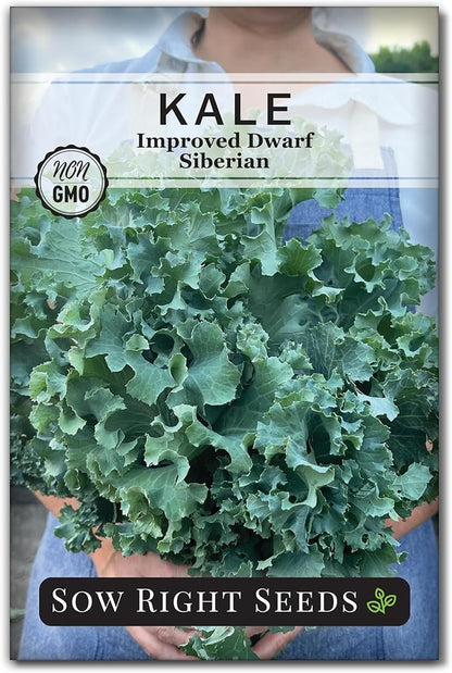 Sow Right Seeds - Dwarf Siberian Improved Kale Seed for Planting - Non-GMO Heirloom Packet with Instructions to Plant a Home Vegetable Garden - Very Nutritious Superfood - Classic Variety (1)