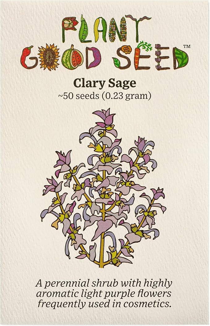 Plant Good Seed Organic Clary Sage Seeds for Planting: Herb for Cosmetics, Fragrant Purple Flowers - 50 Seed Packet