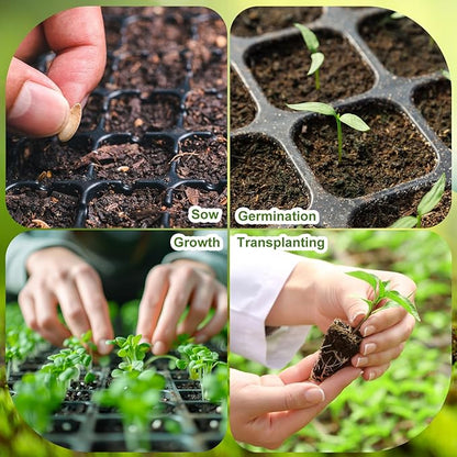 Eccliy 40 Pack 200 Cell Seedling Trays Seed Starter Kit Plant Starter Tray Durable Plastic Gardening Germination with Drain Holes Nursery Pots Mini Propagator for Growing Propagation