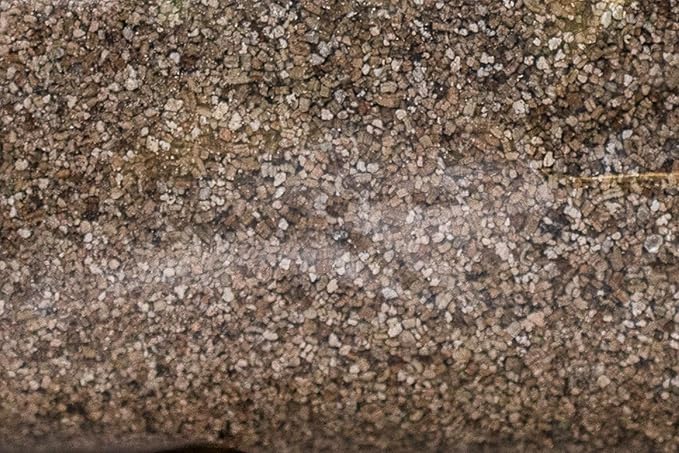 Vermiculite Medium 1 Gallon