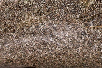 Vermiculite Medium 1 Gallon