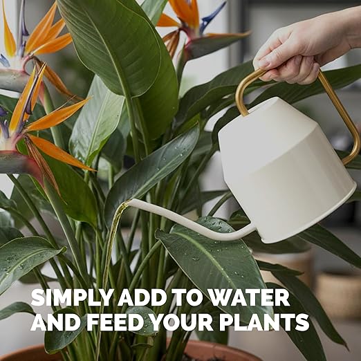 Bird of Paradise Fertilizer for All Strelitzia Plants, Liquid Plant Food 1 Gallon (128oz)