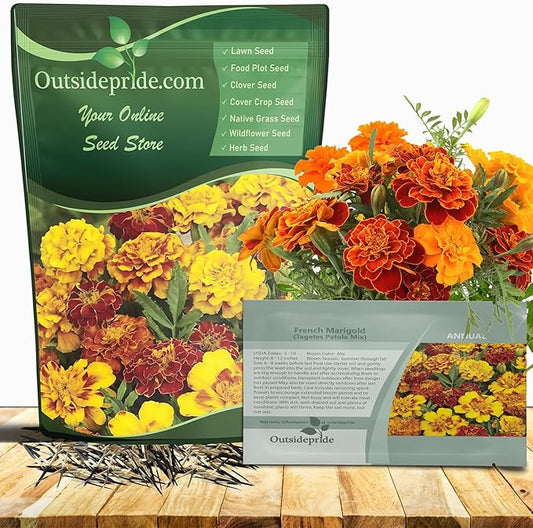 Outsidepride French Marigold Seeds Mix - 1/4 Lb. Annual, Compact, Heat & Drought Tolerant Flower Seeds for Planting w/Orange & Yellow Prolific Blooms, Ideal for Vibrant Pollinator Gardens
