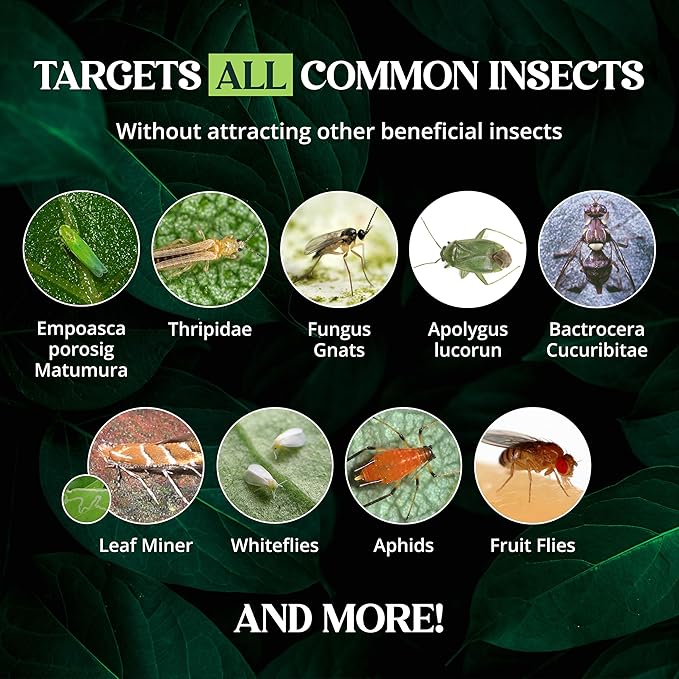 Catchmaster Dual Action Plant Labels 100 PK, Sticky Insect Trap Plant Stakes, for Live Plants Indoor Outdoor, Fruit Fly Trap, Glue Traps for Home, Farm, Garden, Hydroponics & Greenhouse, Pest Control