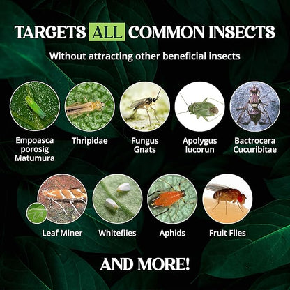 Catchmaster Dual Action Plant Labels 100 PK, Sticky Insect Trap Plant Stakes, for Live Plants Indoor Outdoor, Fruit Fly Trap, Glue Traps for Home, Farm, Garden, Hydroponics & Greenhouse, Pest Control