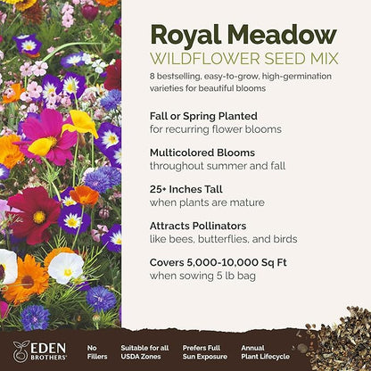 Eden Brothers Royal Meadow Flower Mixed Seeds for Planting, 5 lb, 2,400,000+ Seeds with Morning Glory, African Daisy | Attracts Pollinators, Plant in Spring or Fall, Zones 3, 4, 5, 6, 7, 8, 9, 10