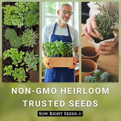 Sow Right Seeds - Thyme Seed for Planting - Non-GMO Heirloom Packet with Instructions for Easy Planting Your Kitchen Herb Garden - Indoor or Outdoor - Great for Hydroponics Growing - Culinary Herb (3)