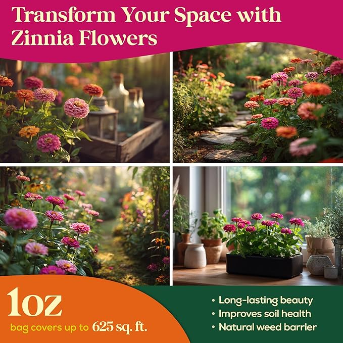 Zinnia Seeds Pack 1 oz - 3,800 Non-GMO Heirloom Zinnia Seeds for Planting, Perennial Flowers in Waterproof Seed Packet, Wildflower Seeds for Planting Garden Indoor & Outdoor Gardening